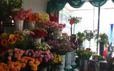 Telekwiaciarnia Gorzów - florystyczna poczta, kwiatowa dostawa